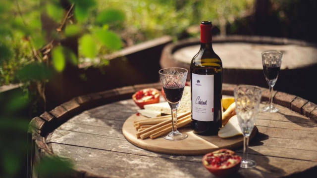 ისარგებლე ფასდაკლებით უკრაინული დღეების ფარგლებში 2 ადამიანის განთავსებაზე სასტუმრო შატო წინანდალი | Château Tsinandali Hotel -ში. image 5