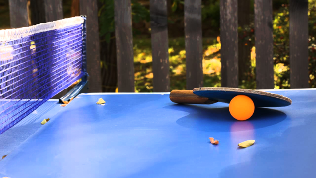 Take advantage of the discount on accommodation for 14+1 guests at Chateau Orberi cottage. image 7