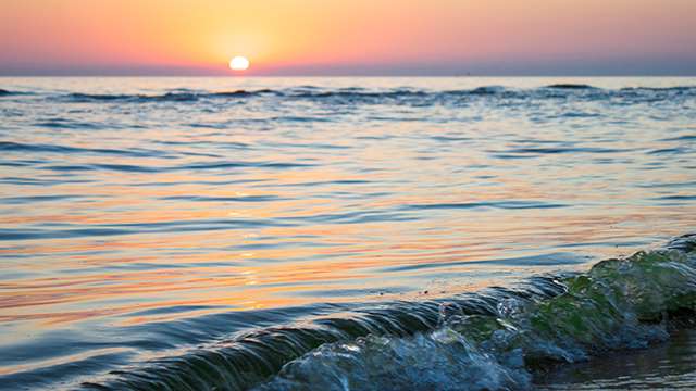 5 ლარად! შეიძინეთ Swooper Code-ი და მიიღეთ 30%-იანი ფასდაკლება გონიოს სატუმროში Astra Hotel Gonio ! image 3