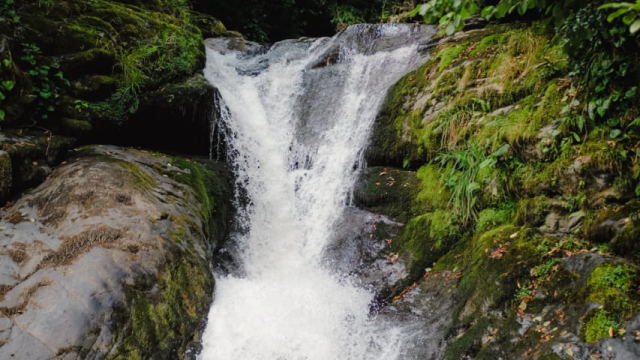 ისარგებლე ფასდაკლებით კვადროთი გასეირნებით აჭარაში. image 7