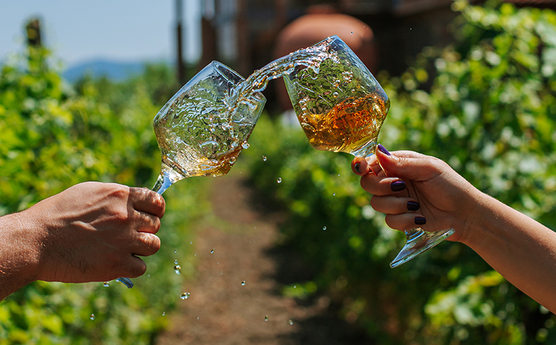 ისარგებლე ფასდაკლებით ნომერში 2 სტუმრის განთავსებაზე ტყუპების საღვინე სახლი | Twin Wine House -ში. image 13