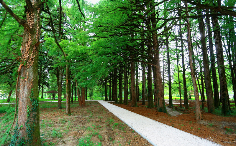 ისარგებლე ფასდაკლებით სასტუმროს ნომერში 2 +1 ღამით განთავსებაზე, ორჯერადი კვებით პარკ ჰოტელ წყალტუბო | Park Hotel Tskaltubo -ში. image 19