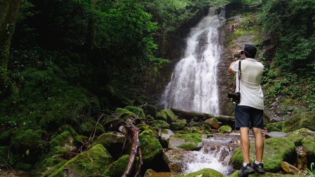 ისარგებლე ფასდაკლებით კვადროთი გასეირნებით აჭარაში. image 9