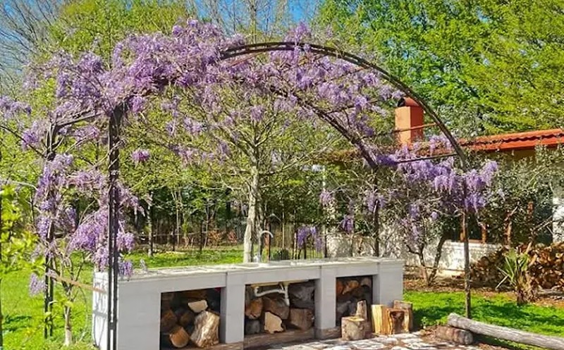 შექმენი დაუვიწყარი მოგონებები  "Guesthouse Near Dam"-ში 0