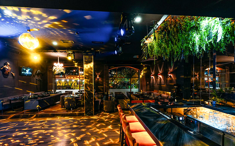 შექმენი დაუვიწყარი მოგონებები ბამბუში image 8