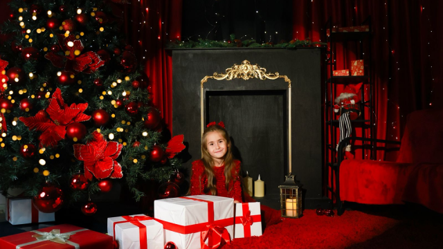 ისარგებლე ფასდაკლებით საახალწლო ფოტოსესიაზე Photography Studio Butterfly -ში. image 1