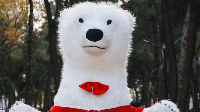 გაიხალისე ახალი წელი სანტასთან, ელფთან ან თოვლის დედოფალთან ერთად image 6