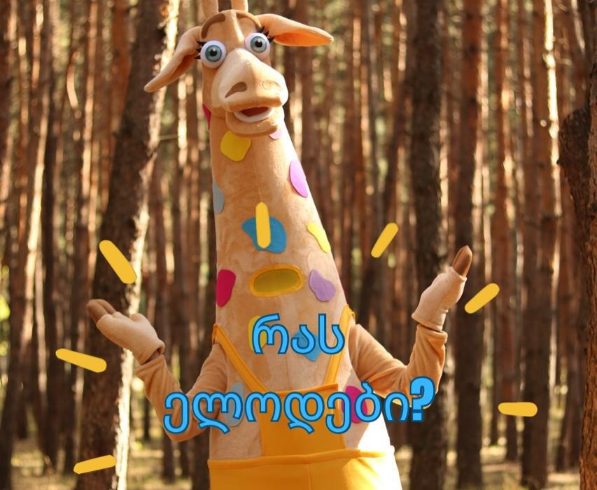 მხიარული თამაშები, ფოტოები, სიურპრიზები - გმირი დღესასწაულს ნამდვილ ზღაპრად აქცევს image 15