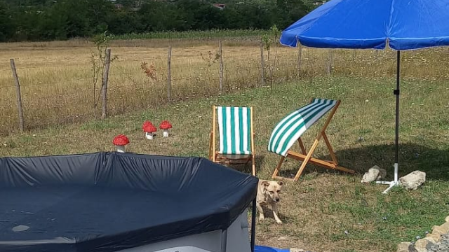 ისარგებლეთ ფასდაკლებით კოტეჯში 3-4 სტუმრის განთავსებაზე ლუკას ქოხი | Lukas Qokhi -ში. image 18