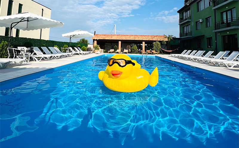 Take advantage of a discount on a one-time visit to an outdoor swimming pool in Kakheti image 0