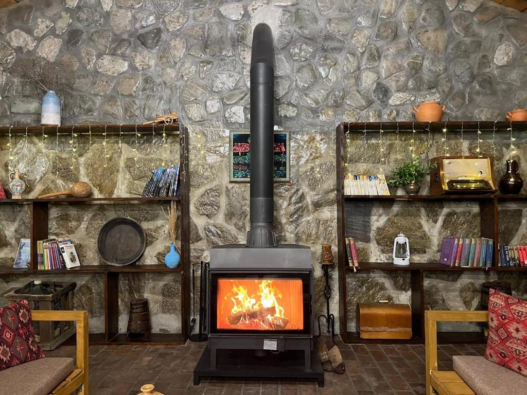 გაატარე დაუვიწყარი დრო სასტუმრო ვინეარდში. image 9