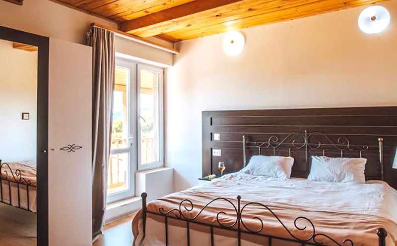 გაატარე დაუვიწყარი დრო სასტუმრო ტყუპების საღვინე სახლში. image 5