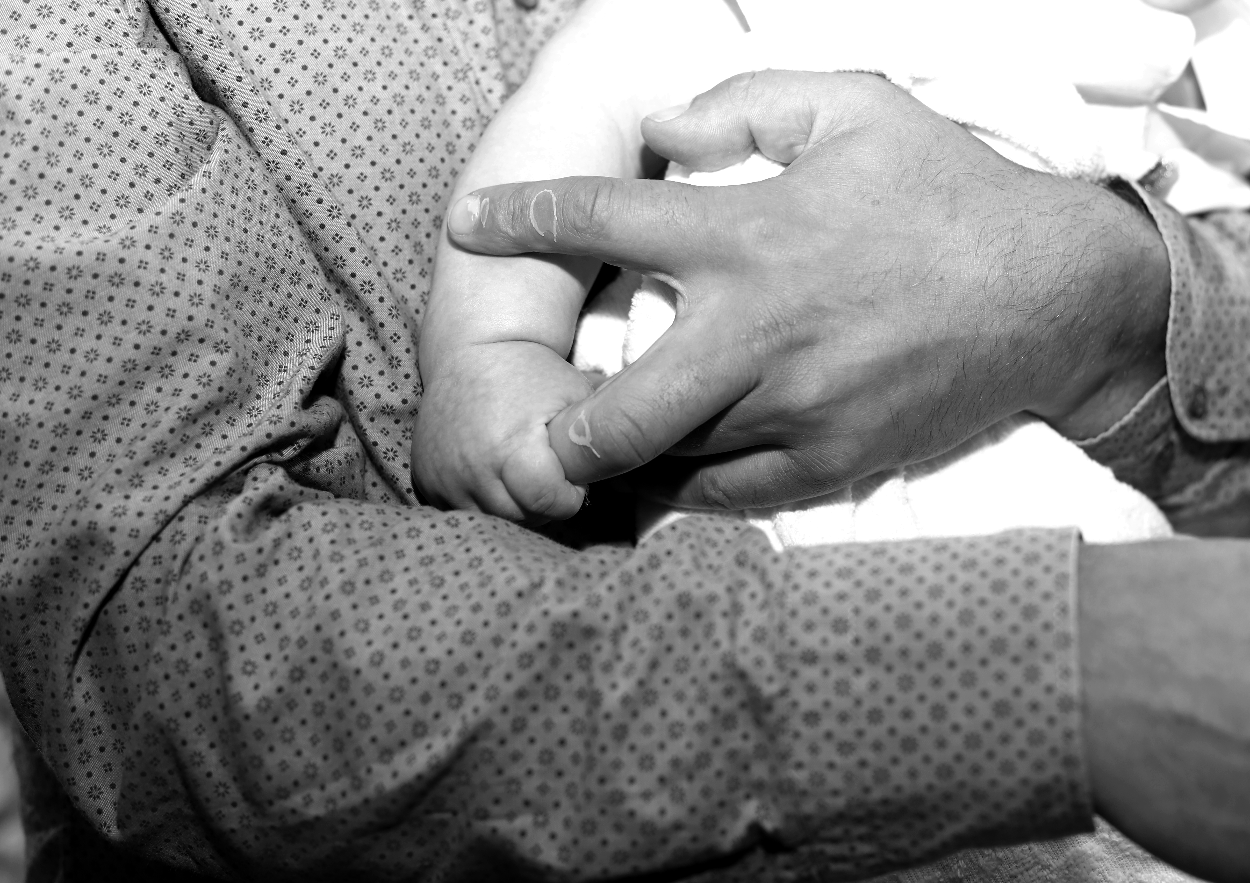 მოიწყე იდეალური ფოტოსესია და მიიღე ხარისხიანი ფოტოები  image 16