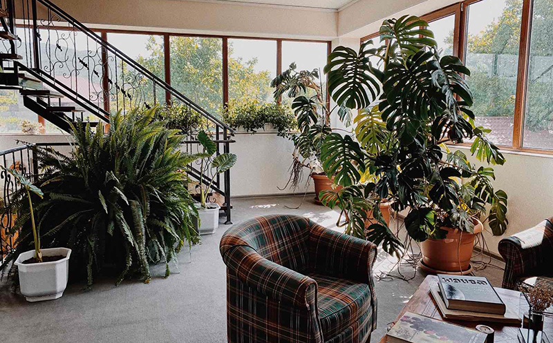 გაატარე დაუვიწყარი დრო სასტუმრო და ღვინის მარან არგეში.  image 11