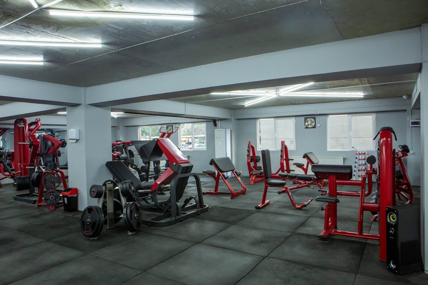 1 თვიან ულიმიტო აბონემენტზე ქალბატონებისთვის დიელ ფიტნესში. image 1