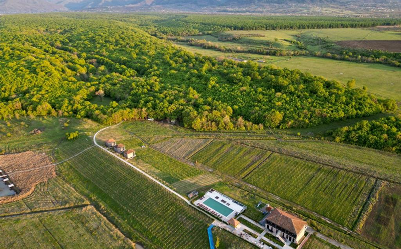 შექმენი დაუვიწყარი მოგონებები მეგობრებთან ერთად შატო ვარციხეში 13