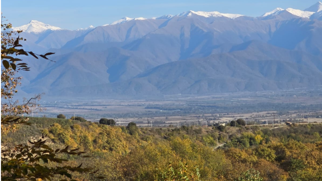 ისარგებლე ფასდაკლებით კოტეჯში 2 ან 2+2 სტუმრის განთავსებაზე ტყის კაცის რანჩო | Forest Man Ranch -ში. image 18