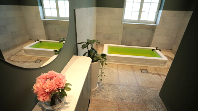 დაისვენე სარელაქსაციო ოთახში და ისიამოვნე გოგირდის დიდი და მცირე აუზებით თბილისის ბალნეოლოგიურ სპა კურორტში image 0