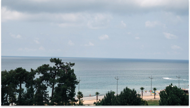 ისარგებლე ფასდაკლებით სასურველ ნომერში განთავსებაზე სასტუმრო სკორპიო | Hotel Scorpio -ში. image 8