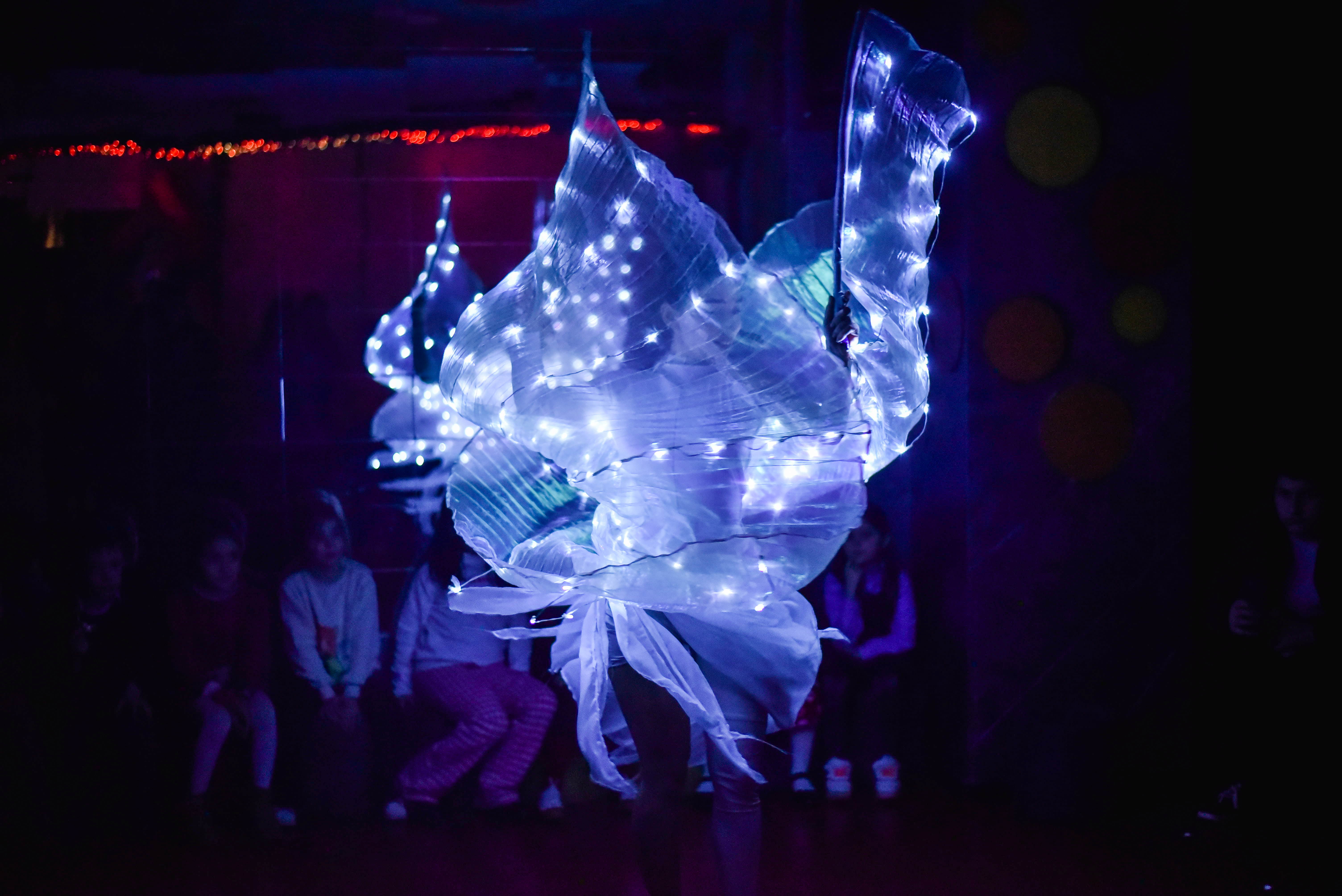 აირჩიე დაბადების დღის პროგრამა ან საახალწლო კარნავალი განსაკუთრებულ პირობებში დეჟავინოში image 10