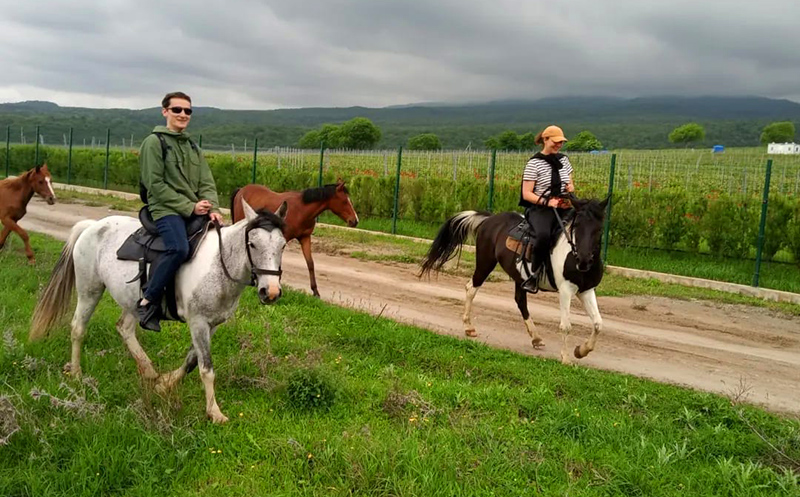 დაისვენე და ისიამოვნე დაუვიწყარი საცხენოსნო ტურით კახეთში image 6