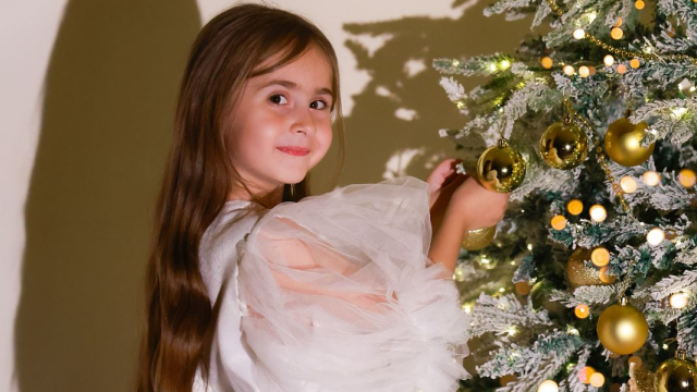 ისარგებლე ფასდაკლებით საახალწლო ფოტოსესიაზე Photography Studio Butterfly -ში. image 7