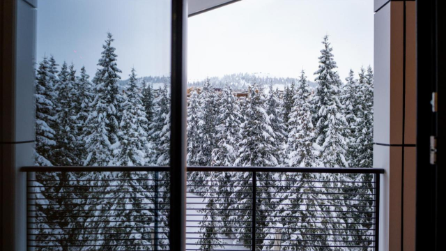 ისარგებლე ფასდაკლებით 3-4 ადგილიან ნომერში განთავსებაზე, საუზმით სასტუმრო Goderdzi Twins Hotel -ში. 23