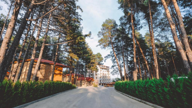 შეარჩიე შენთვის სასურველი შეთავაზება და ისამოვნე image 15