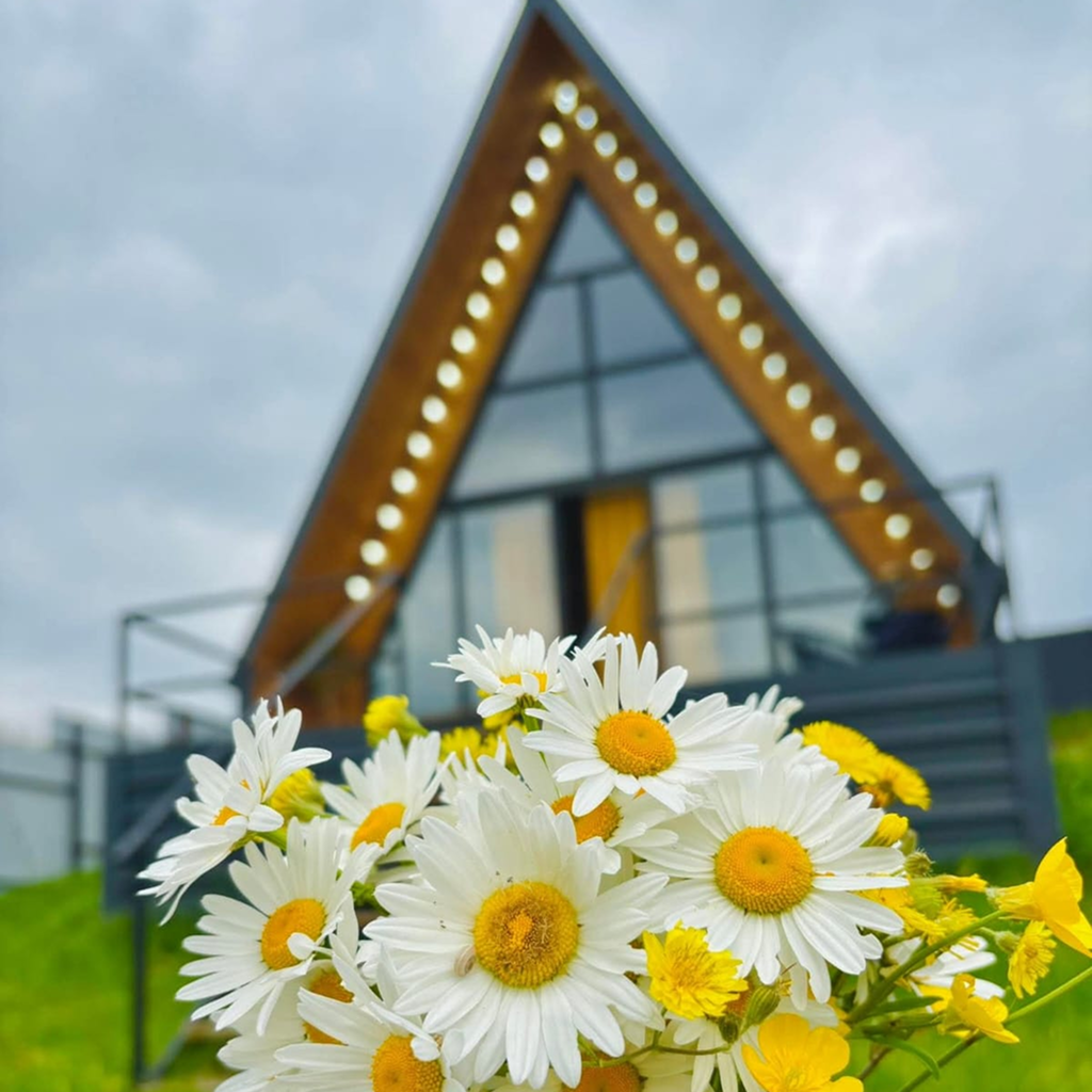 ისარგებლე ფასდაკლებით 2 ადამიანის განთავსებაზე  კოტეჯი ნანოლენდი | Cottage Nanoland -ში. image 8