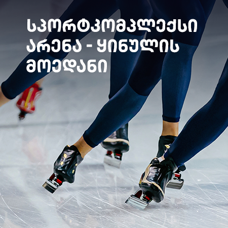 One-time visit to the ice rink (Arena I)