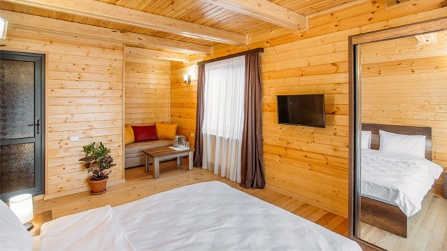 ისარგებლე ფასდაკლებით ბაკურიანის სასტუმროს ნომერში Greenwood Hotel. image 10