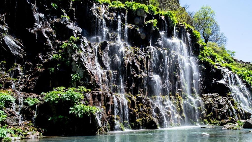 შექმენი დაუვიწყარი მოგონებები კასს დაიმონდ რეზორტში. image 32