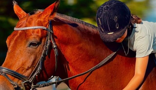 მიიღე სხავადასხვა მომსახურება ბათუმის საცხენოსნო კლუბისგან image 3