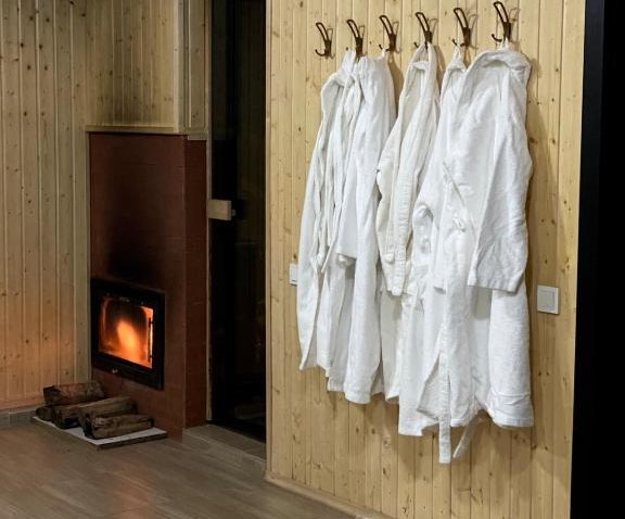 დაისვენე მეგობრებთან ერთად გუდაურში image 0