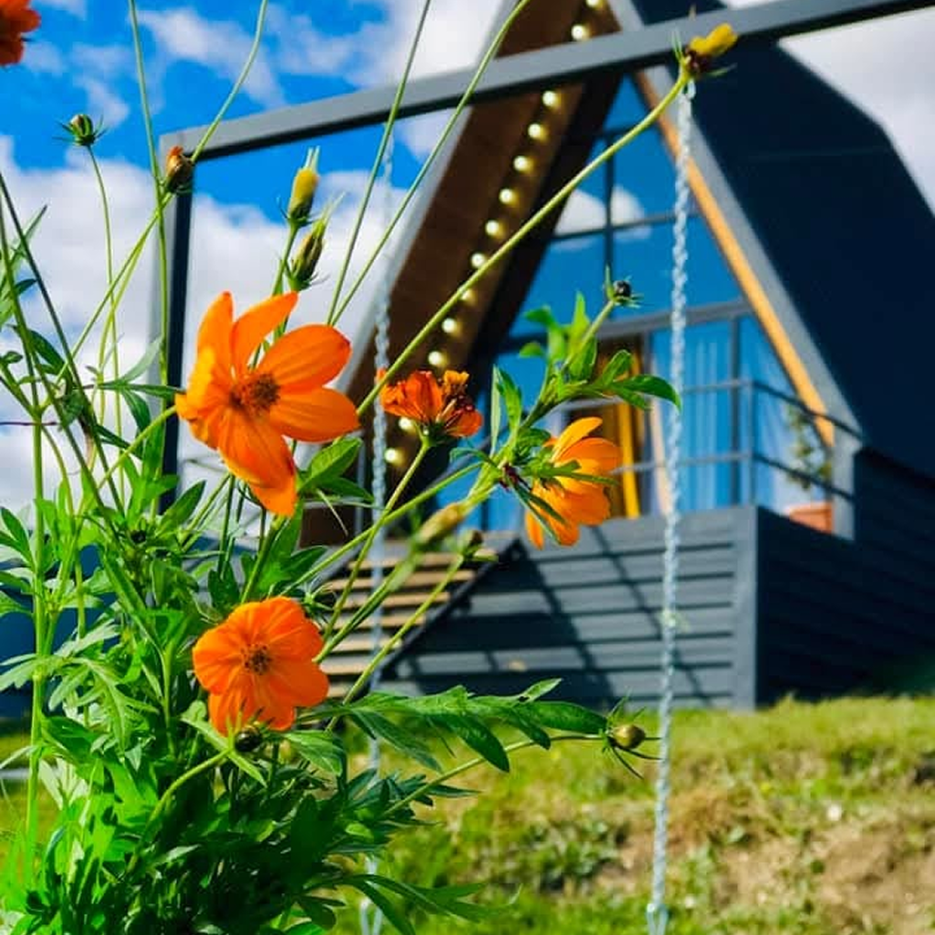 ისარგებლე ფასდაკლებით 2 ადამიანის განთავსებაზე  კოტეჯი ნანოლენდი | Cottage Nanoland -ში. image 5