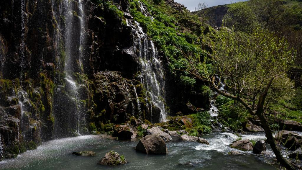 შექმენი დაუვიწყარი მოგონებები კასს დაიმონდ რეზორტში. image 29
