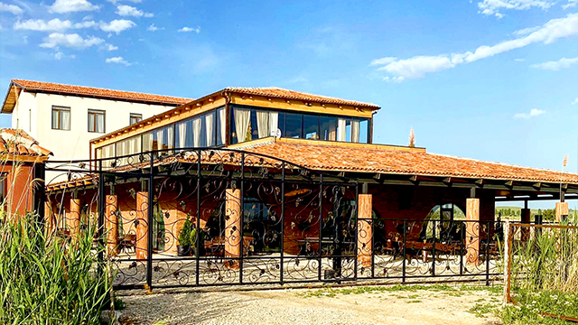 დაისვენე მეგობრებთან ერთად ხაშმში