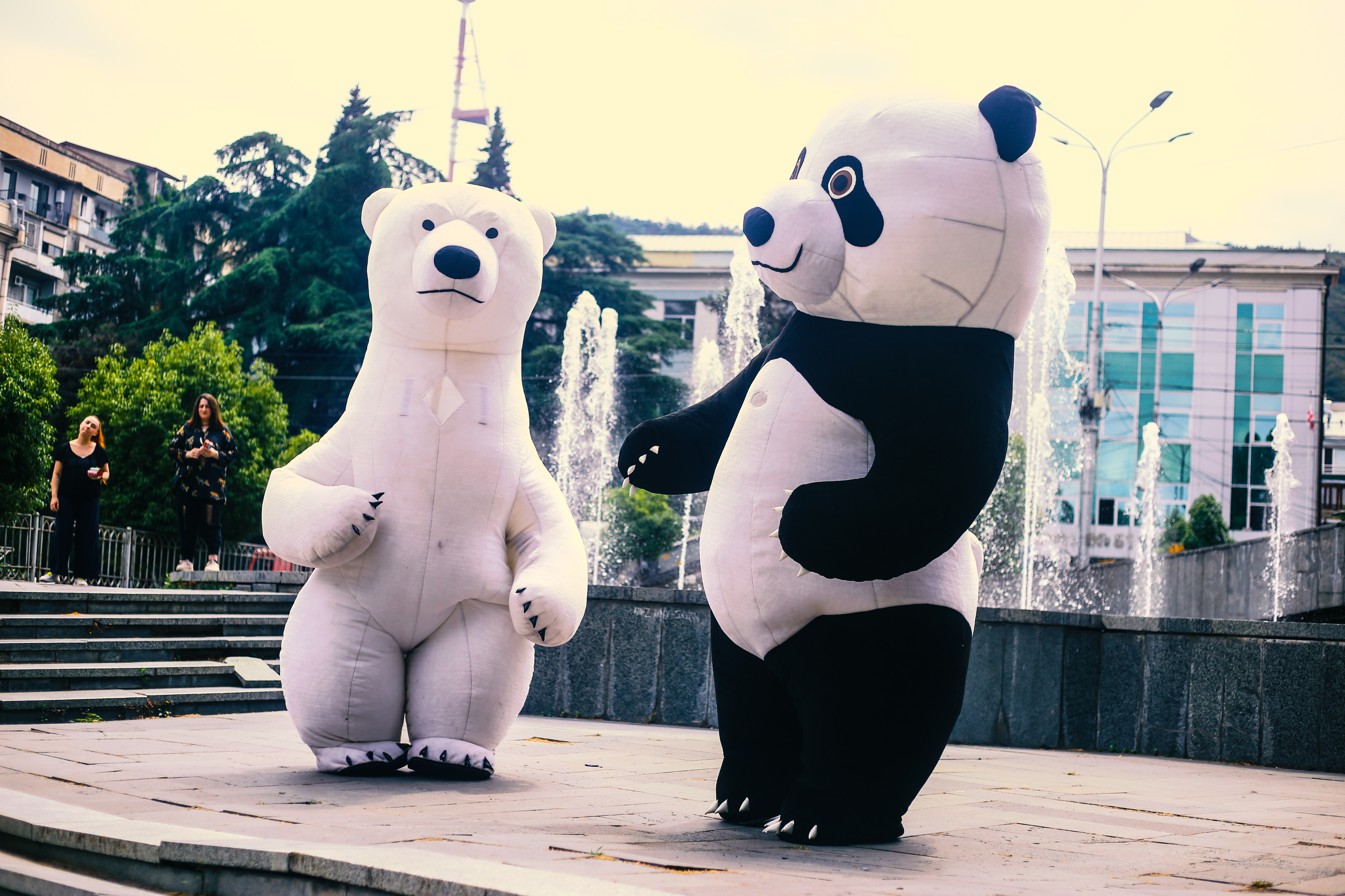 დახურული სივრცე 15 თინეიჯერისთვის საუკეთესო წვეულების გასამართად image 20