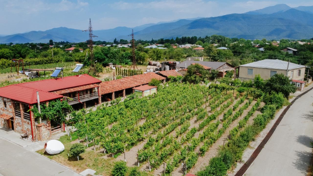 ისარგებლე ფასდაკლებით დაუვიწყარ საბავშვო ექსკურსიაზე ტყუპების საღვინე სახლში. image 0