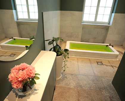 Visit to the Sulfur Water Wellness Pools