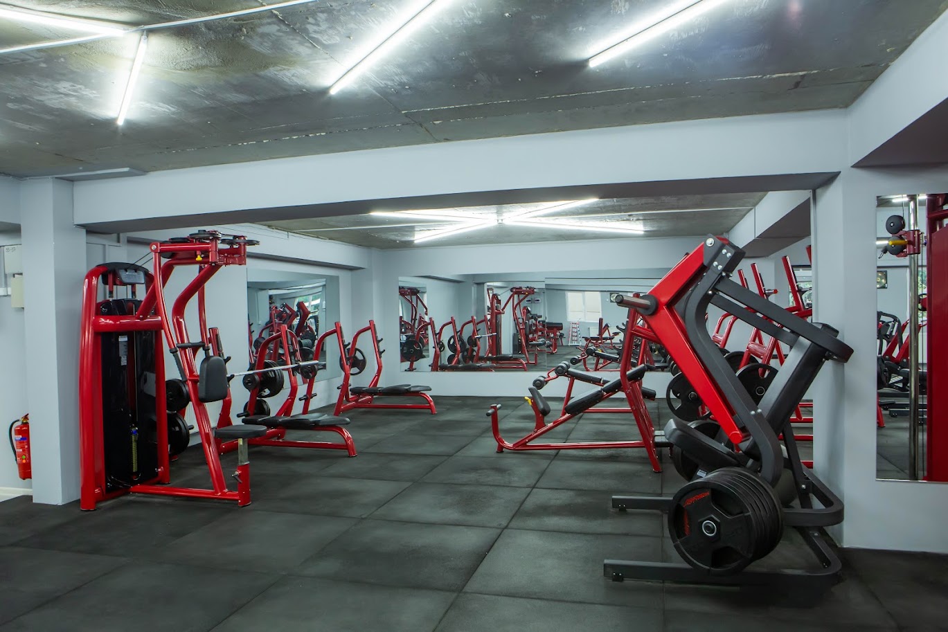 გამოიყენე ფიტნესის ერთ თვიან ულიმიტო აბონემენტი დიელ ფიტნესიში image 2