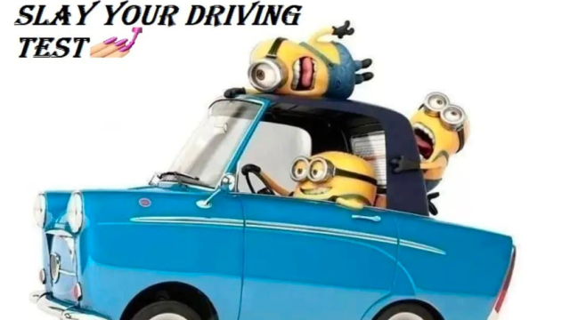 მოედანი, თეორია და რეალური უნარები — ყველაფერი ერთი პროგრამით image 2