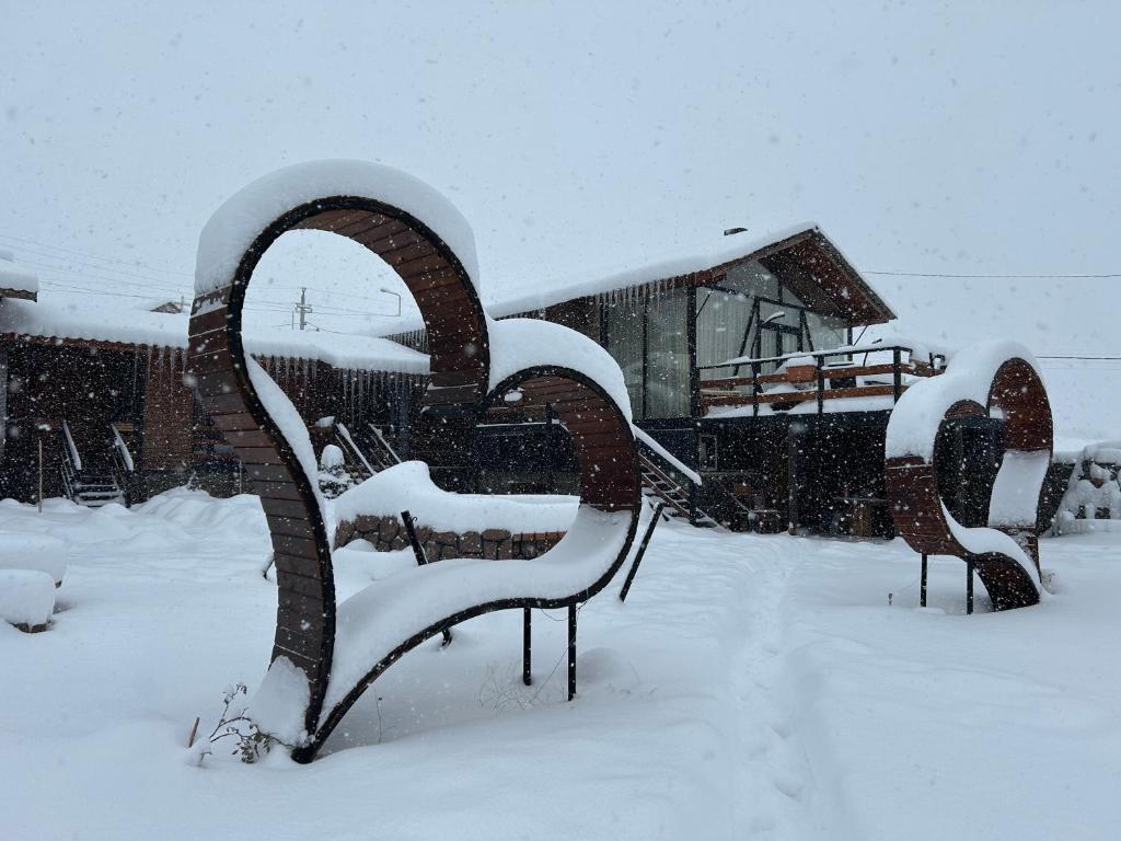 შექმენი დაუვიწყარი მოგონებები პანორამა კომპლექს ყაზბეგში image 1