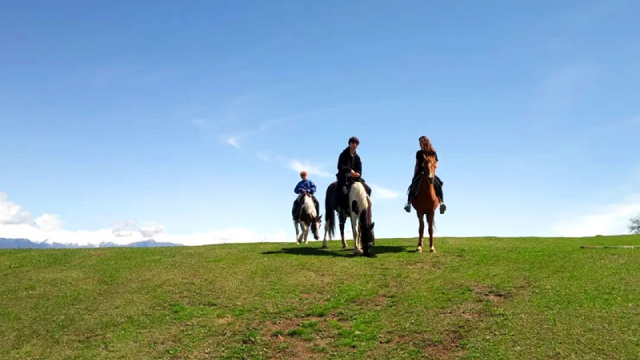 ისარგებლე ფასდაკლებით საცხენოსნო ტურებზე კახეთში. image 2
