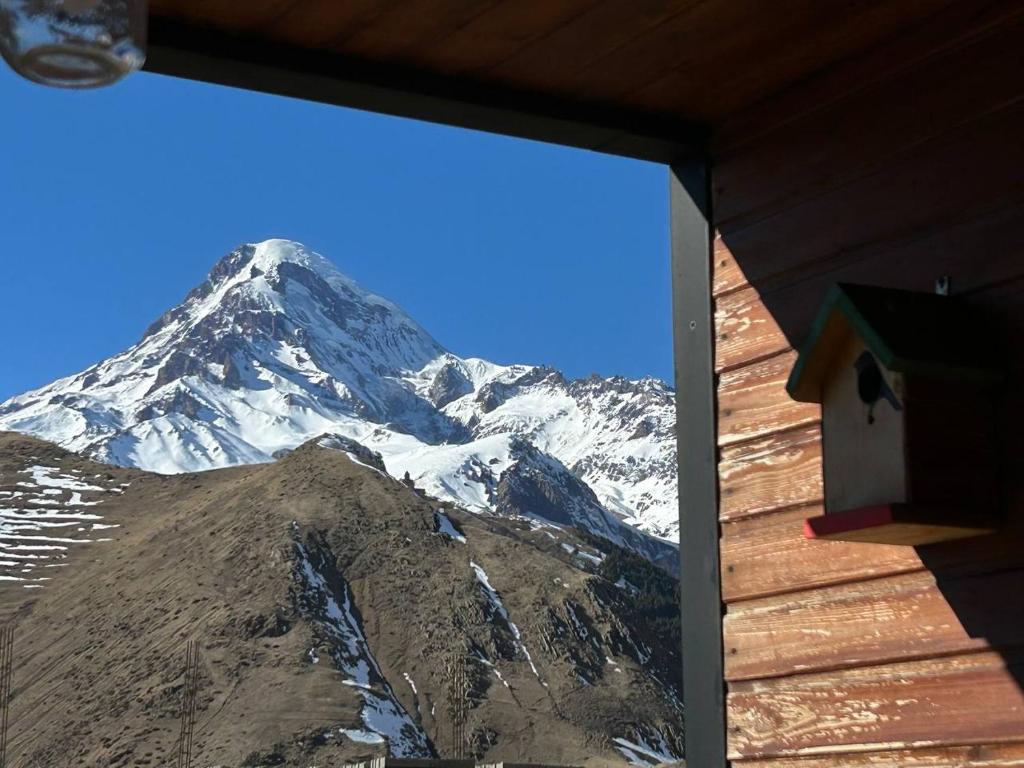 შექმენი დაუვიწყარი მოგონებები პანორამა კომპლექს ყაზბეგში image 0