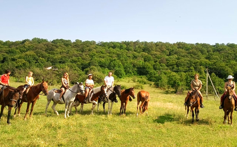 დაისვენე და ისიამოვნე დაუვიწყარი საცხენოსნო ტურით კახეთში image 7