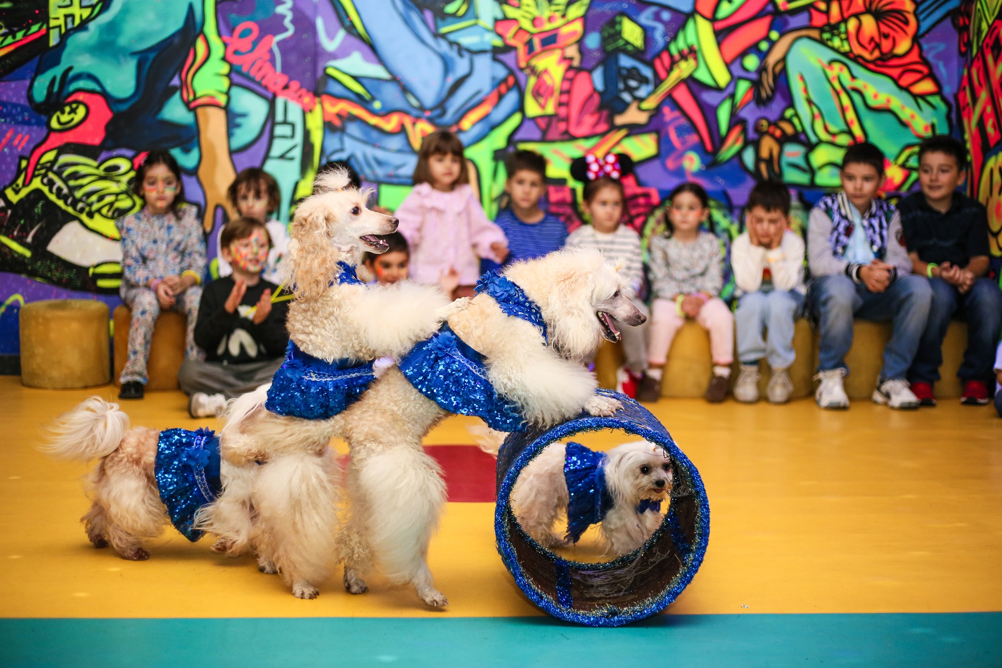 მიიღე სპეციალური შეთავაზება და გაერთე მეგობრებთან ერთად  image 11