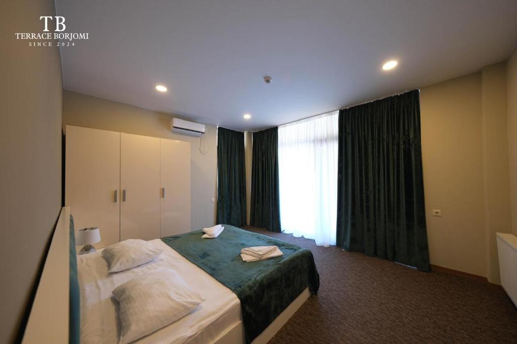 გაატარე დაუვიწყარი დრო  სასტუმრო ბორჯომი ტერასაში. image 2