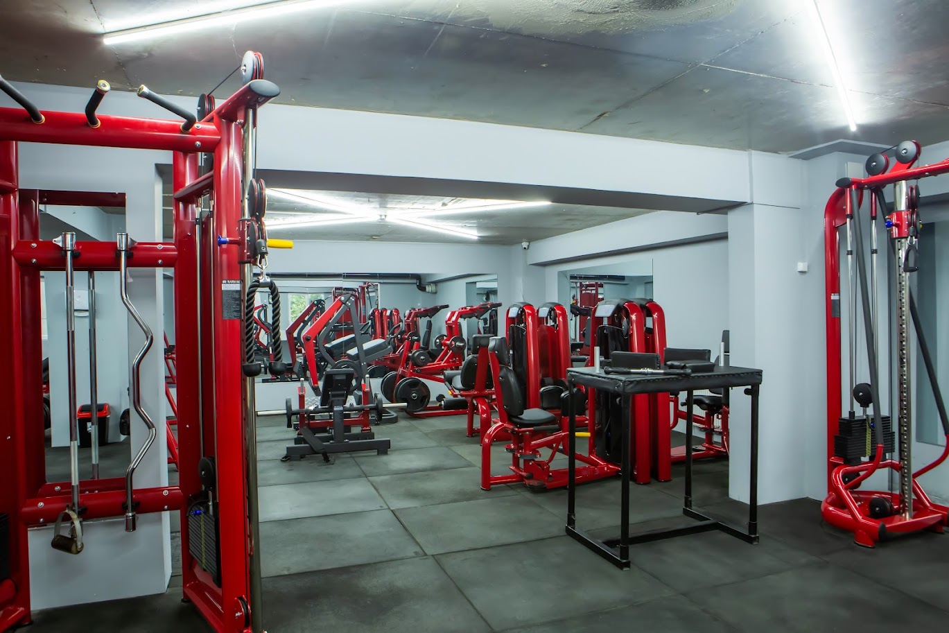 1 თვიან ულიმიტო აბონემენტზე ქალბატონებისთვის დიელ ფიტნესში. image 5