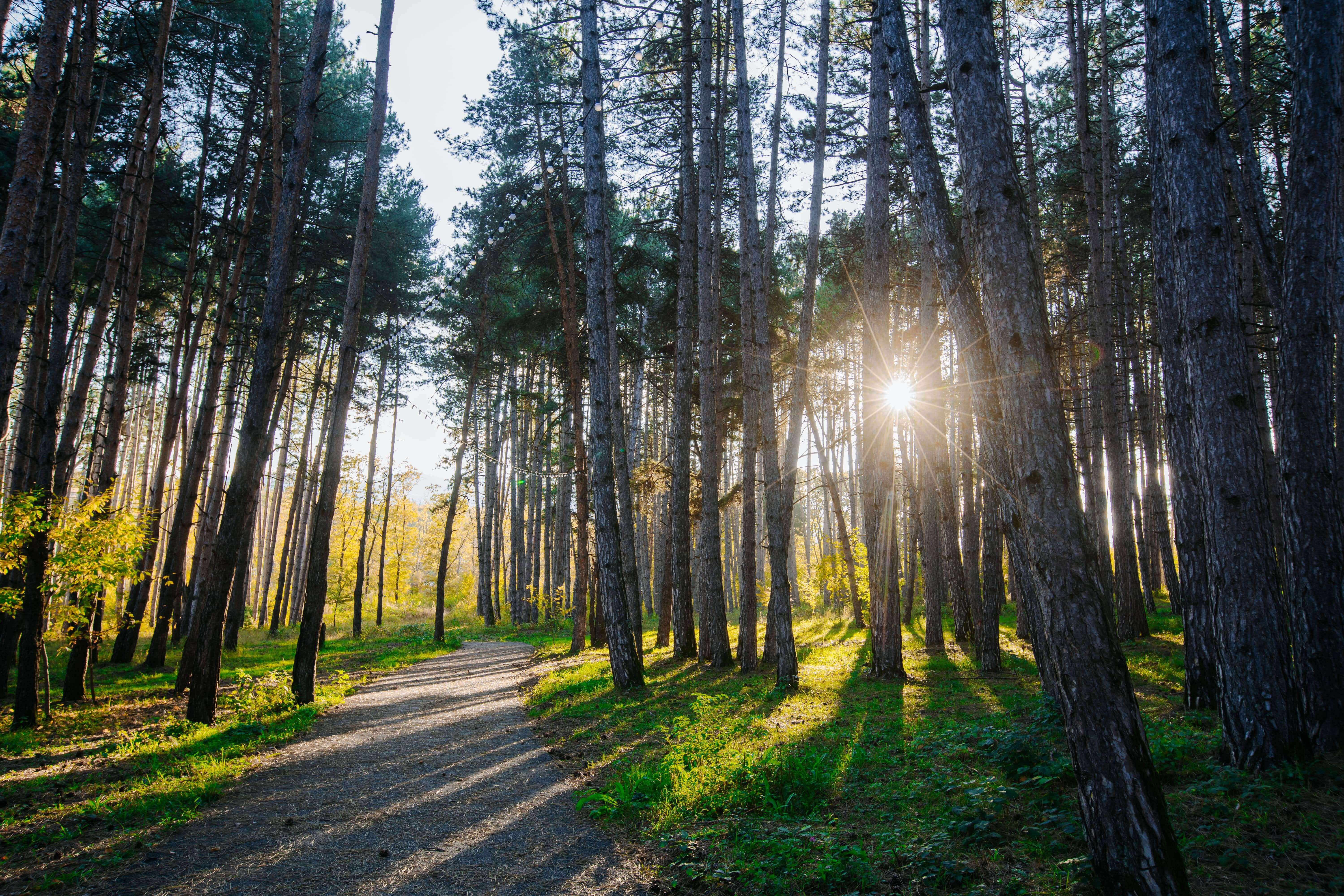 Enjoy a discount on a King Deluxe room for two guests on Fridays and Saturdays at Zuzumbo Resort & Spa. image 13